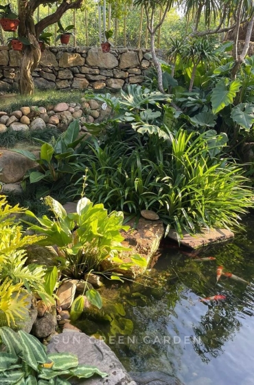 Thi Công Sân Vườn Chị Nga tại Golf Park