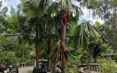 CHÍNH SÁCH BẢO HÀNH