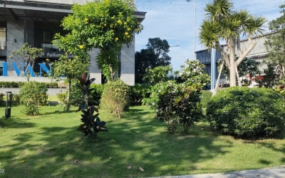 THIẾT KẾ, THI CÔNG VÀ BỐ TRÍ CÂY CẢNH