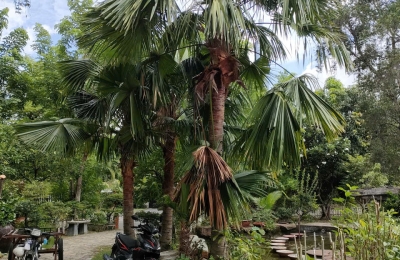 CHÍNH SÁCH BẢO HÀNH