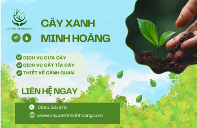 DỊCH VỤ CƯA CÂY HỒ CHÍ MINH – DỊCH VỤ CÂY XANH MINH HOÀNG UY TÍN, AN TOÀN