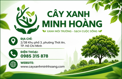 Dịch Vụ Cưa Cây TP.Hồ Chí Minh Uy Tín, Giá Tốt | Cây Xanh Minh Hoàng