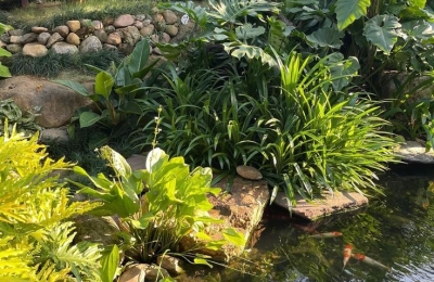 Thi Công Sân Vườn Chị Nga tại Golf Park