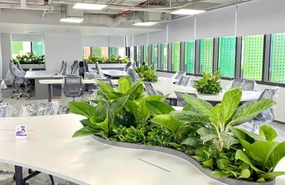 Setup Cây Văn Phòng  